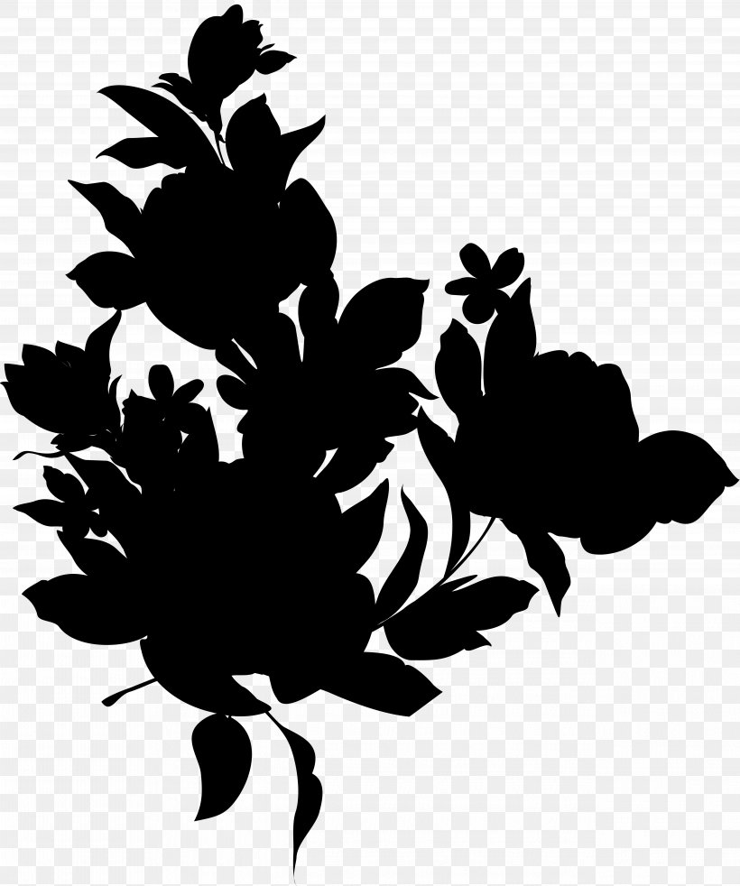 Rose Family Floral Design Leaf, PNG, 5076x6080px, Rose Family, Art, Black M, Blackandwhite, Botany Download Free