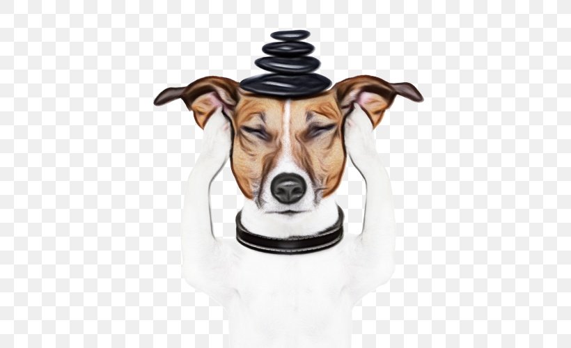 Dog Sitting, PNG, 500x500px, Pet, Brazilian Terrier, Companion Dog, Dog, Dog Behavior Download Free