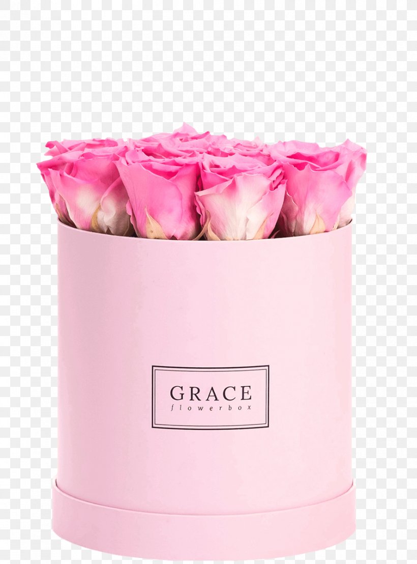Flower Box English Rose Pink Blue, PNG, 888x1200px, Flower Box, Blue, Box, English Rose, Flower Download Free