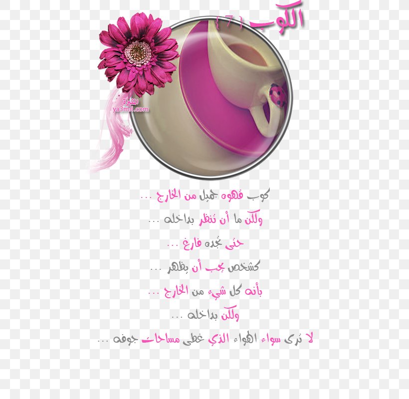Coffee Cup وادي فاطمة Person Evaluation, PNG, 581x800px, Coffee, Choice, Cup, Data, Evaluation Download Free