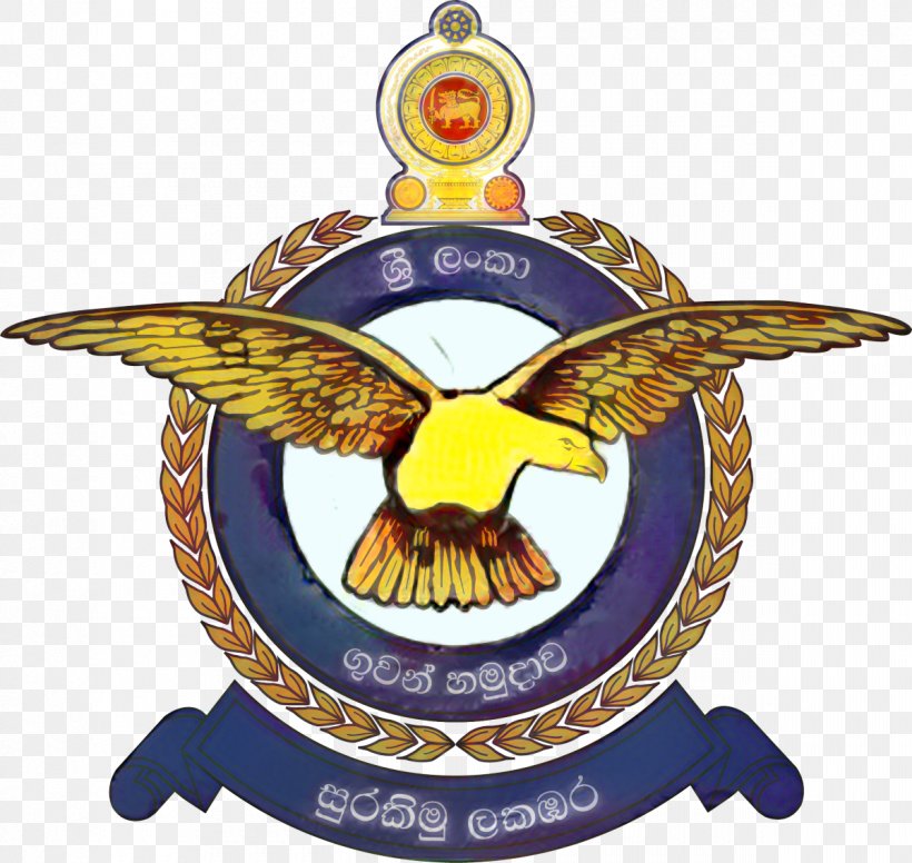 Eagle Logo, PNG, 1200x1137px, Sri Lanka, Air Force, Badge, Eagle, Emblem Download Free