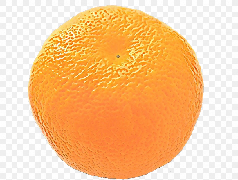 Orange, PNG, 1200x913px, Orange, Citrus, Clementine, Fruit, Grapefruit Download Free