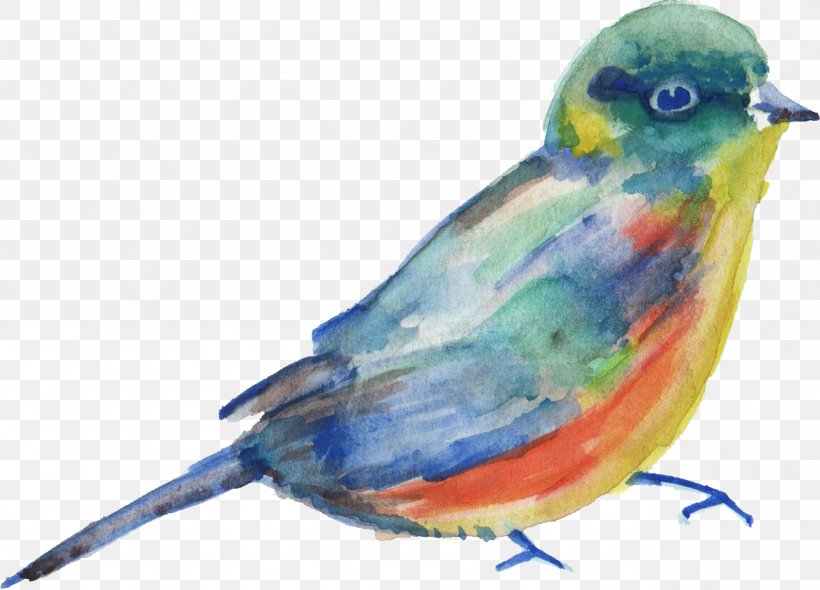 Bird Parrot Transparent Watercolor Watercolor Painting Parakeet, PNG, 1281x922px, Bird, Art, Beak, Bluebird, Color Download Free