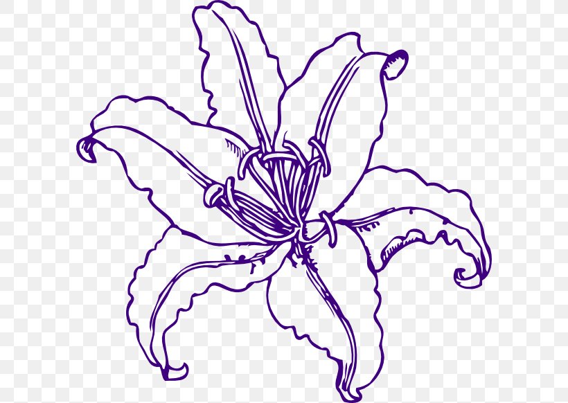 Coloring Book Easter Lily Tiger Lily Flower Clip Art, PNG, 600x582px, Coloring Book, Artwork, Arumlily, Black And White, Bud Download Free