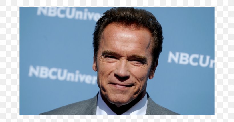 Arnold Schwarzenegger The Terminator Actor Entrepreneur Plungon, PNG, 1200x630px, Arnold Schwarzenegger, Actor, Chin, Entrepreneur, Face Download Free