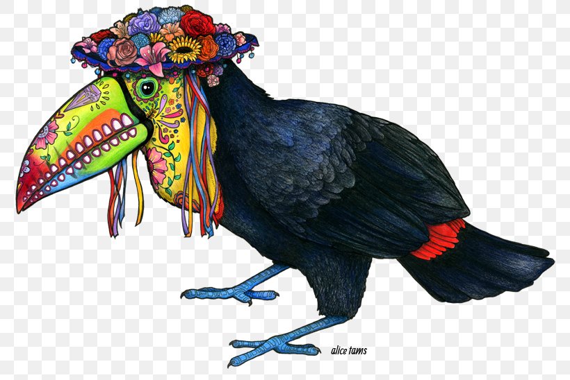 Bird Keel-billed Toucan Channel-billed Toucan Drawing Beak, PNG, 800x548px, Bird, Animal, Beak, Channelbilled Toucan, Chicken Download Free