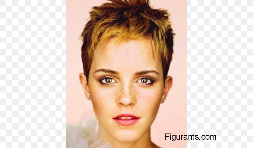 Emma Watson Pixie Cut Hairstyle Celebrity Bob Cut Png