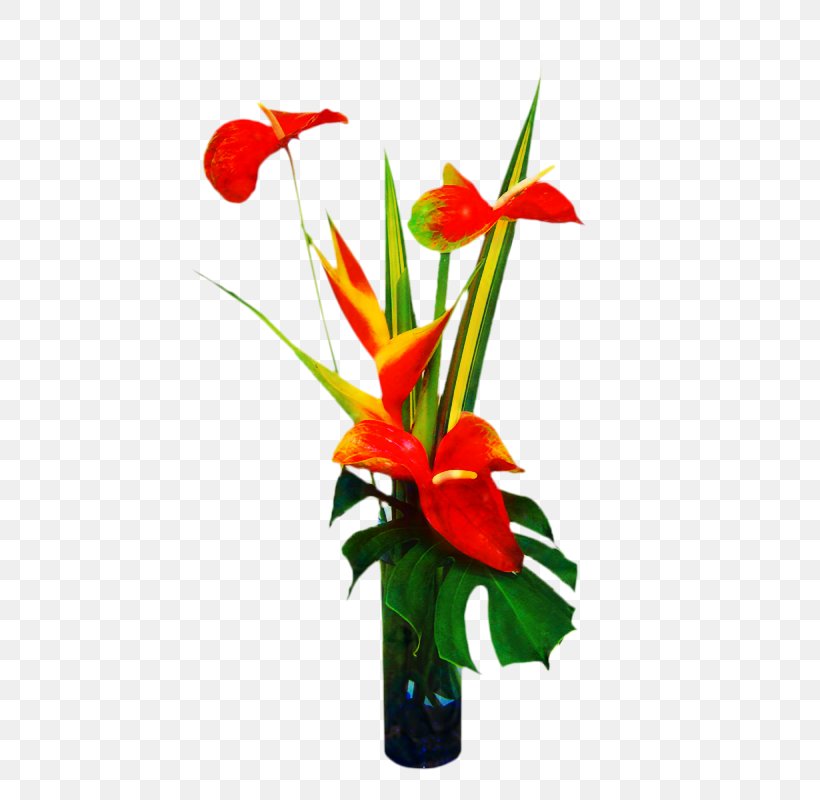 Hawaii Flower Bouquet Clip Art Floristry, PNG, 800x800px, Hawaii, Amaryllis Belladonna, Amaryllis Family, Anthurium, Artificial Flower Download Free