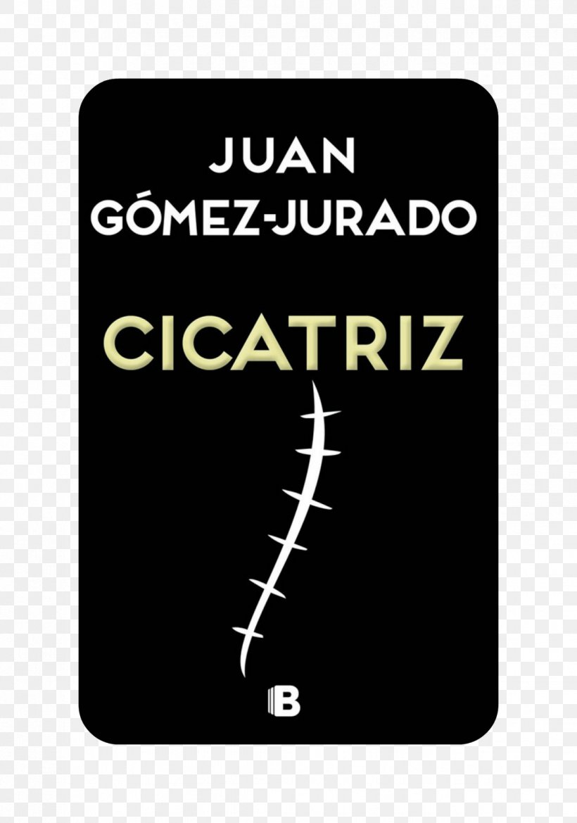 Cicatriz The Thirteenth Tale Book Novel The Fault In Our Stars, PNG, 1122x1600px, Book, Author, Brand, Ebook, Fault In Our Stars Download Free