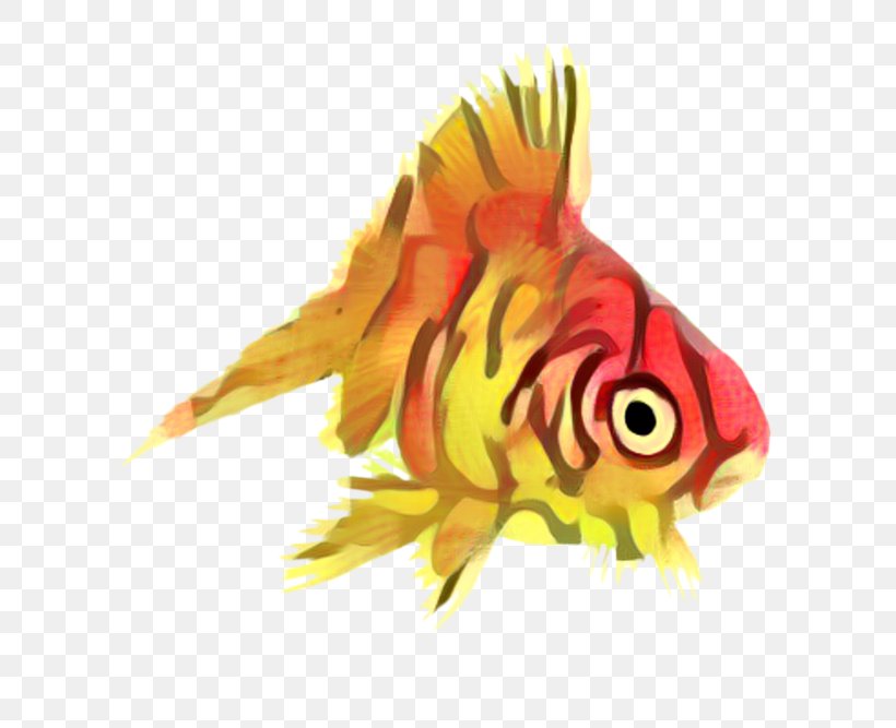 Fish Cartoon, PNG, 629x667px, Goldfish, Beak, Bonyfish, Butterflyfish, Closeup Download Free