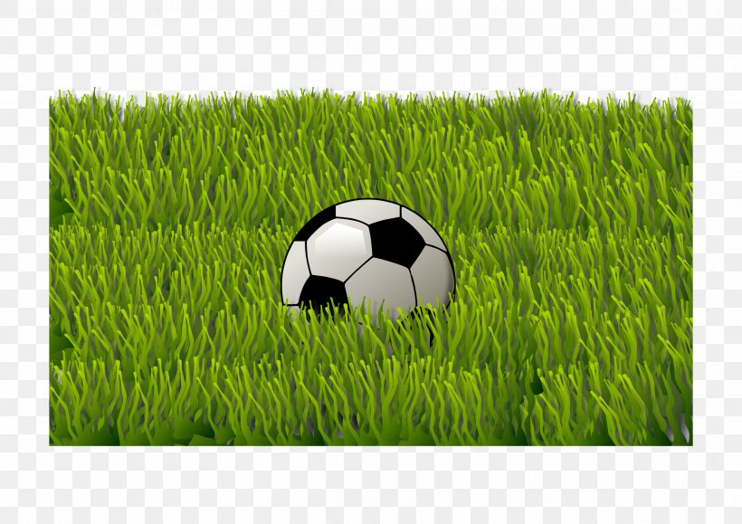 Football Serie C Sporting Goods, PNG, 2400x1697px, Ball, Field, Football, Goalkeeper, Grass Download Free