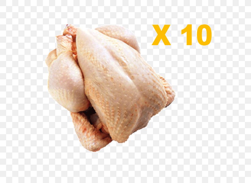 NIOKOBOK White Cut Chicken Chicken As Food Meat, PNG, 600x600px, Niokobok, Animal Fat, Animal Source Foods, Beef, Chicken Download Free