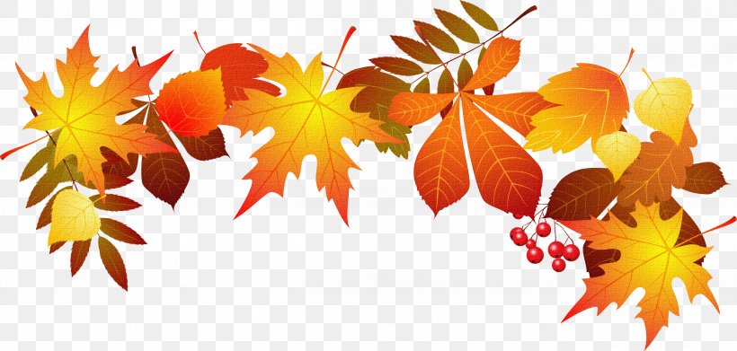 Autumn Leaf Color Clip Art, PNG, 2504x1194px, Autumn, Autumn Leaf Color, Branch, Flowering Plant, Leaf Download Free