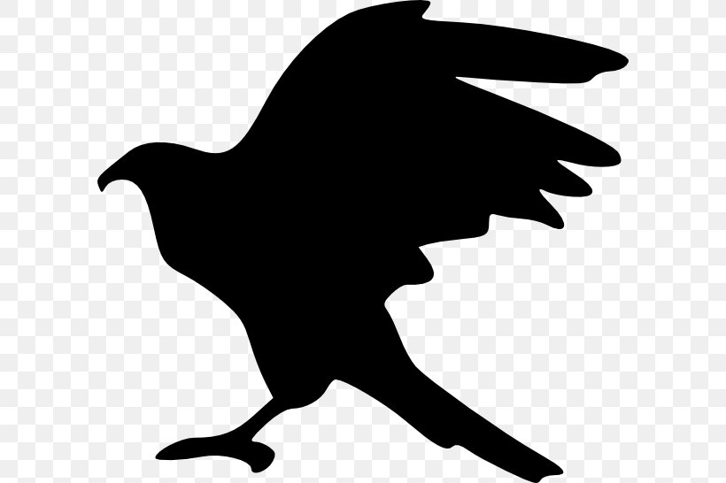 Bald Eagle Silhouette Clip Art, PNG, 600x546px, Eagle, Artwork, Bald Eagle, Beak, Bird Download Free