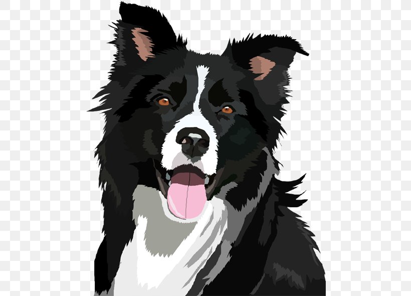Border Collie Bearded Collie Clip Art, PNG, 481x590px, Border Collie, Bearded Collie, Carnivoran, Collie, Cricut Download Free