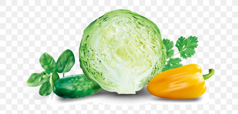Cabbage Malfouf Salad Euclidean Vector Vegetable, PNG, 2503x1201px, Cabbage, Broccoli, Cauliflower, Chinese Cabbage, Cooking Download Free