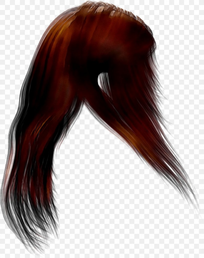 Hairstyle Cabelo Wig Black Hair, PNG, 952x1205px, Hairstyle, Beauty, Black Hair, Blue Hair, Brown Download Free