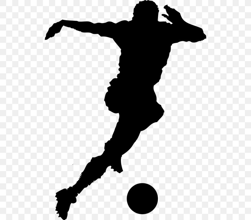 Sport Silhouette Football Player, PNG, 528x720px, Sport, American Football, American Football Player, Baseball, Black Download Free