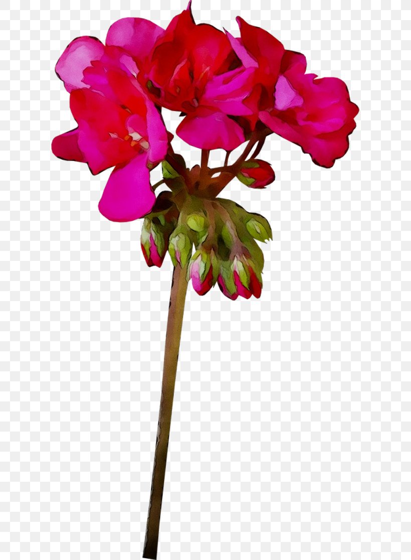 Cyclamen Cut Flowers Floral Design Plant Stem Moth Orchids, PNG, 615x1116px, Cyclamen, Artificial Flower, Botany, Cut Flowers, Floral Design Download Free