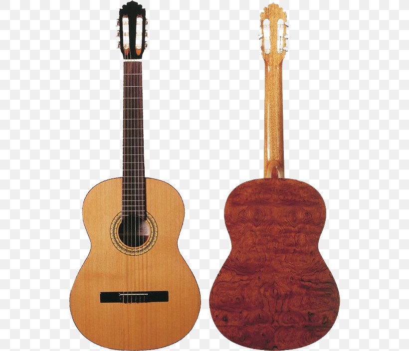 Classical Guitar Acoustic Guitar Larrivée Squier, PNG, 544x704px, Watercolor, Cartoon, Flower, Frame, Heart Download Free