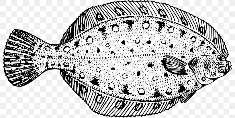 Fish Cartoon, PNG, 800x412px, Flounder, European Flounder, European Plaice, Fish, Flatfish Download Free