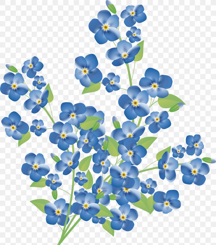 Myosotis Arvensis Flower Clip Art, PNG, 1589x1800px, Flower, Blue, Bluebonnet, Can Stock Photo, Flora Download Free