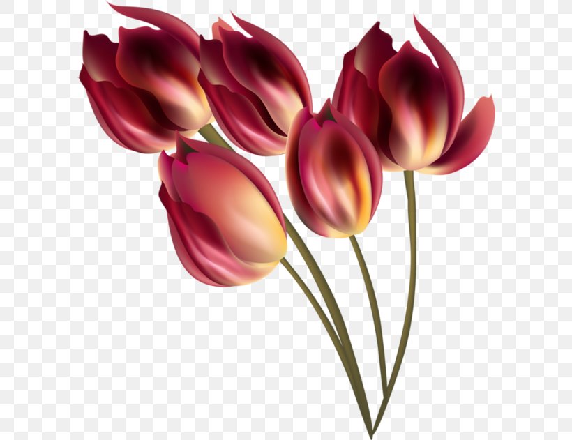 Tulip Flower Refrigerator Home Appliance Alexandria, PNG, 600x631px, Tulip, Advertising, Alexandria, Clothes Dryer, Cut Flowers Download Free