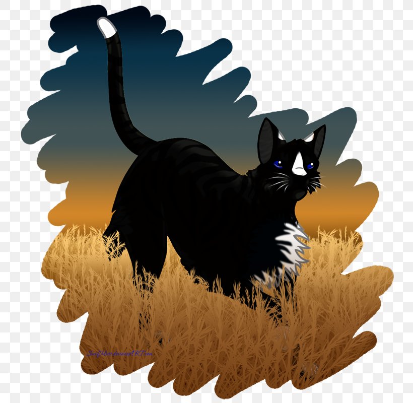 Cat Whiskers Dog Pet Paw, PNG, 762x800px, Cat, Animal, Black Cat, Canidae, Carnivora Download Free