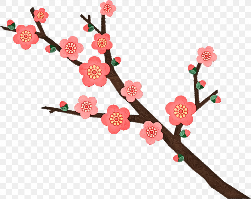 Cherry Blossom, PNG, 1600x1274px, Watercolor, Biology, Blossom, Cherry, Cherry Blossom Download Free