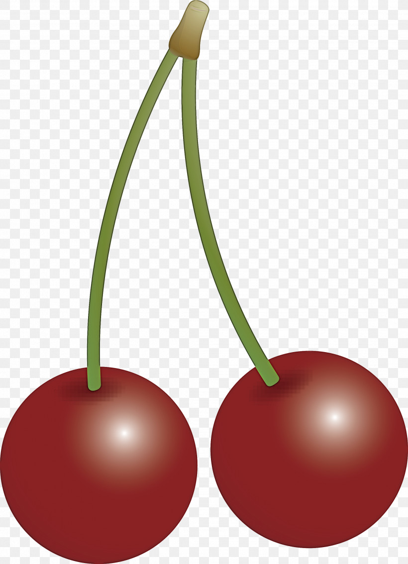 Cherry, PNG, 2168x3000px, Cherry, Drupe, Fruit, Plant, Prunus Download Free