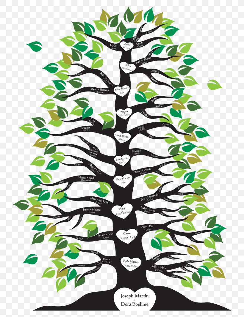 Family Tree Branch Root, PNG, 800x1067px, Tree, Aunt, Branch, Family, Family Reunion Download Free
