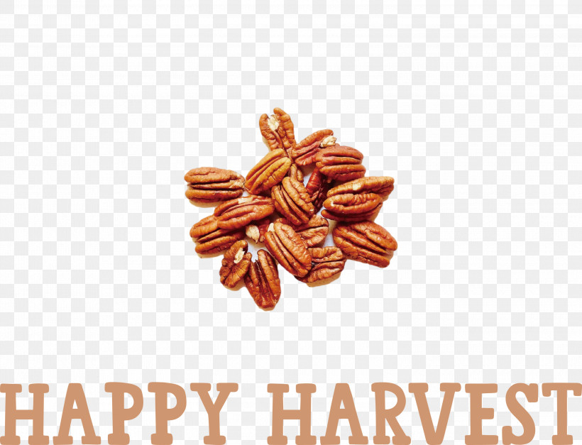 Happy Harvest Harvest Time, PNG, 3000x2295px, Happy Harvest, Cashew, Chocolate, Dried Fruit, Fruit Download Free