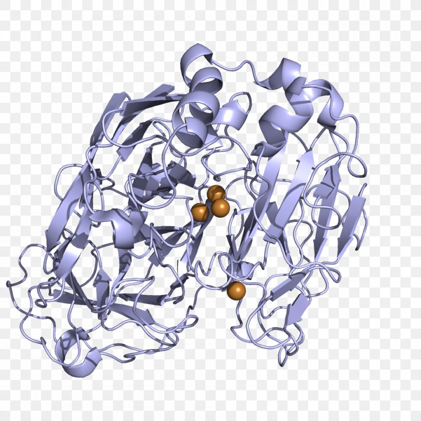 Laccase Enzyme Catalysis Fullerene Biosensor, PNG, 1000x1000px, Laccase, Abts, Biosensor, Botrytis Cinerea, Catalysis Download Free