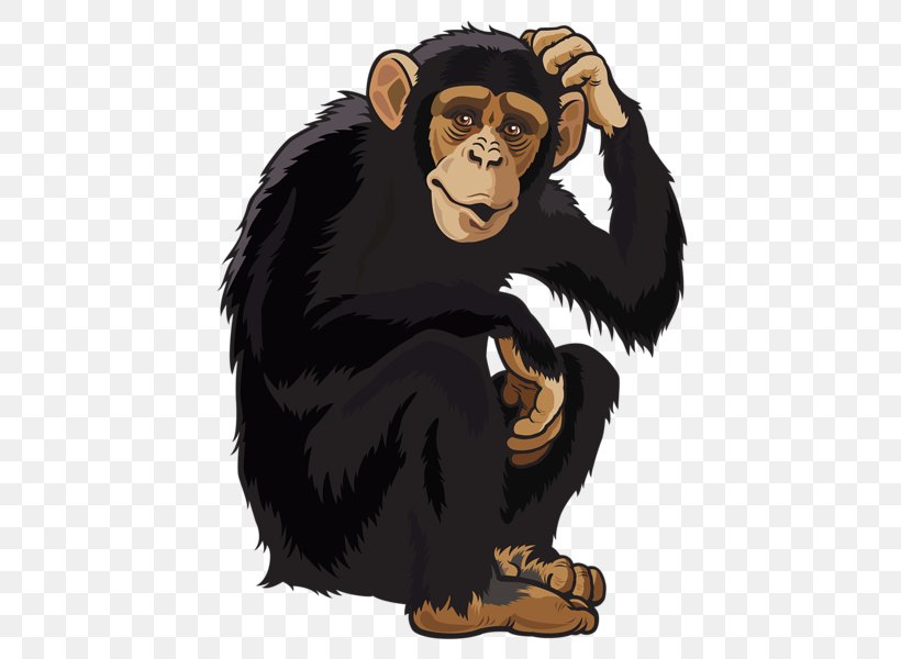 Orangutan Monkey Clip Art, PNG, 460x600px, Orangutan, Bear, Carnivoran, Cartoon, Chimpanzee Download Free