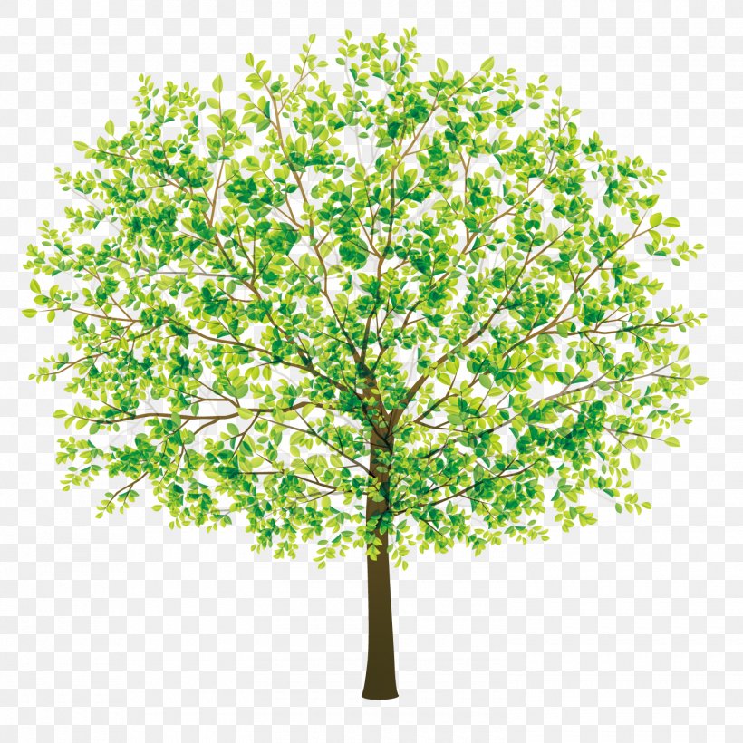 Tree, PNG, 1500x1501px, Tree, Branch, Grass, Green, Leaf Download Free