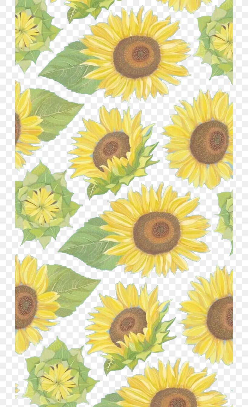 Common Sunflower Yellow Wallpaper, PNG, 720x1347px, Common Sunflower, Computer Monitor, Daisy Family, Designer, Floral Design Download Free