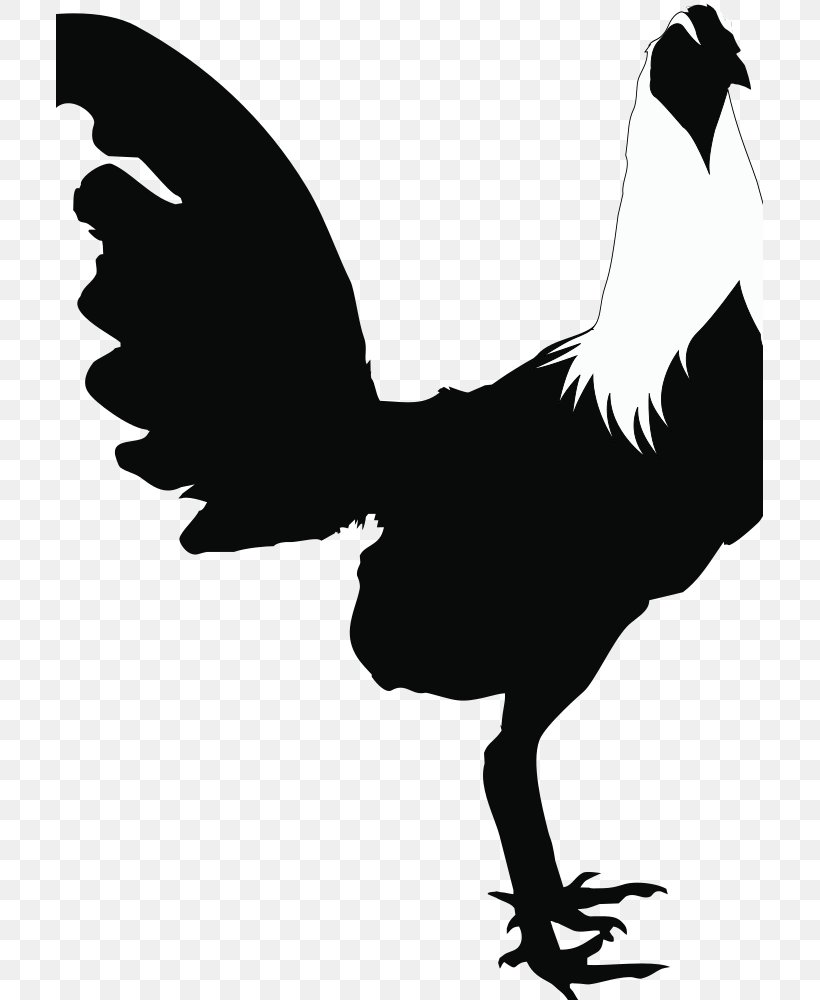 Rooster Chicken Silhouette Black And White Clip Art, PNG, 707x1000px, Rooster, Beak, Bird, Black And White, Chicken Download Free