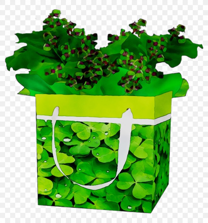 Saint Patrick's Day Shamrock TV Series February, PNG, 1088x1168px, Saint Patricks Day, Clover, February, Flower, Flowerpot Download Free