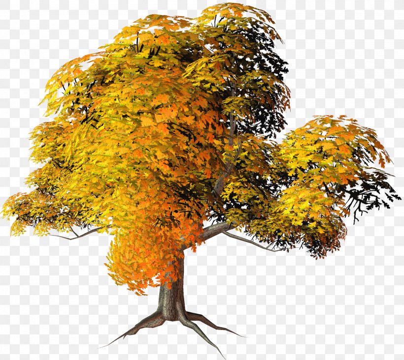 Autumn Tree Clip Art, PNG, 2000x1787px, Tree, Arecaceae, Autumn, Autumn Leaf Color, Branch Download Free