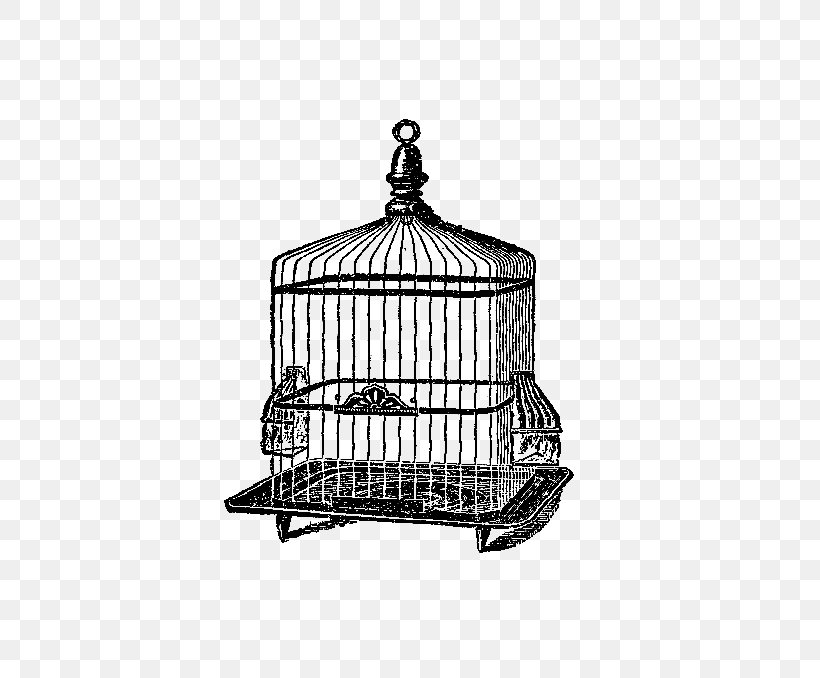 Birdcage Domestic Canary Birdcage Clip Art, PNG, 552x678px, Bird, Antique, Aviary, Birdcage, Black And White Download Free