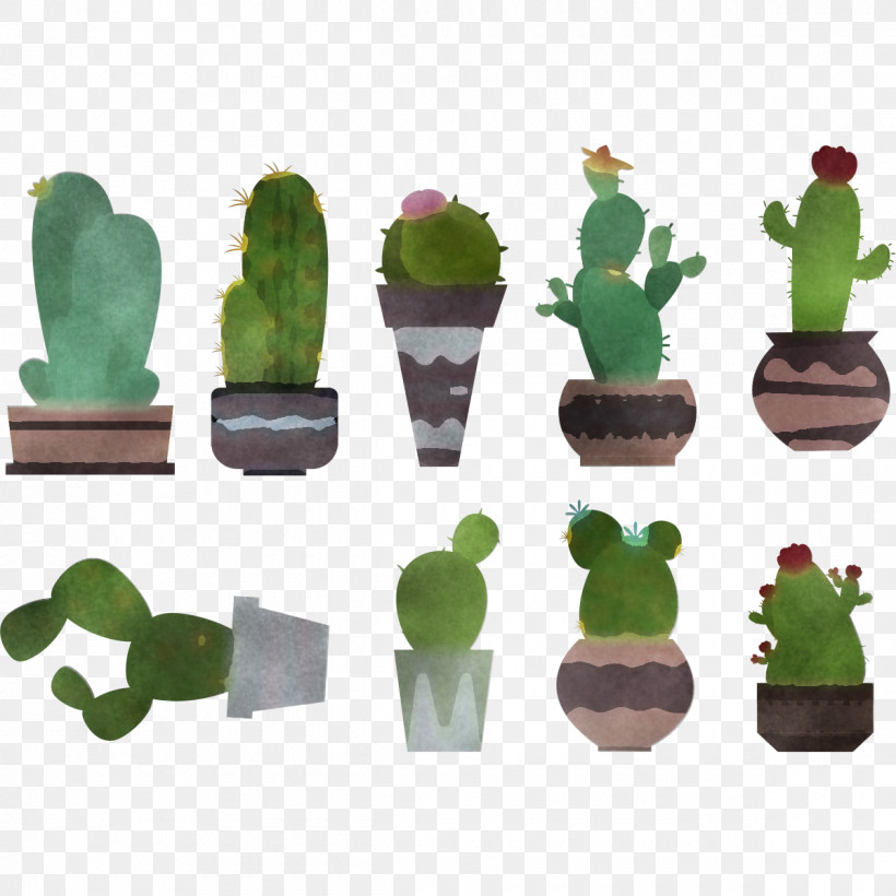Cactus, PNG, 1200x1200px, Cactus, Caryophyllales, Flower, Flowerpot, Green Download Free
