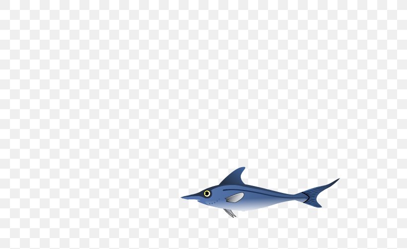 Dolphin Shark Marine Biology Fauna, PNG, 660x502px, Dolphin, Biology, Cartilaginous Fish, Fauna, Fin Download Free