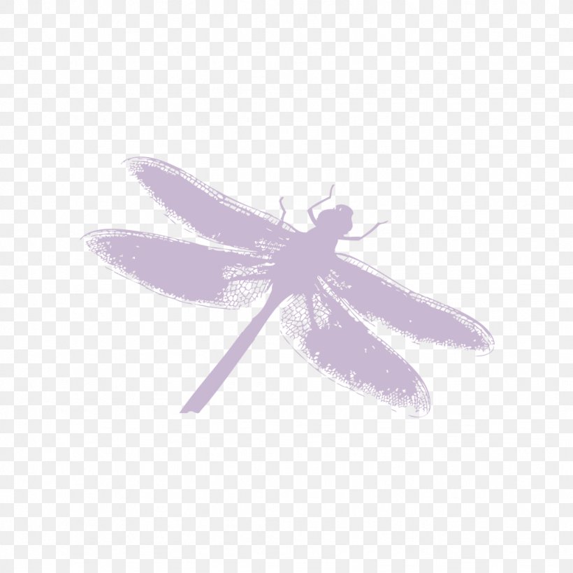 Insect Silhouette, PNG, 1024x1024px, Insect, Computer, Dragonfly, Invertebrate, Lilac Download Free