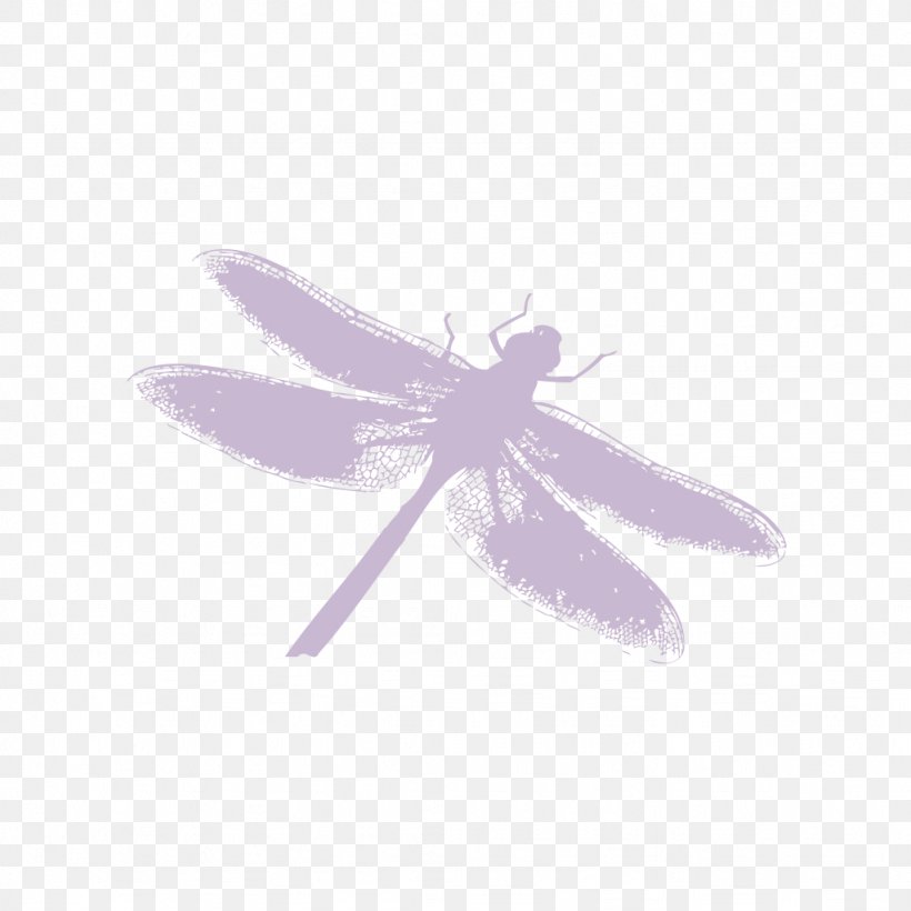 Insect Silhouette, PNG, 1024x1024px, Insect, Computer, Dragonfly ...