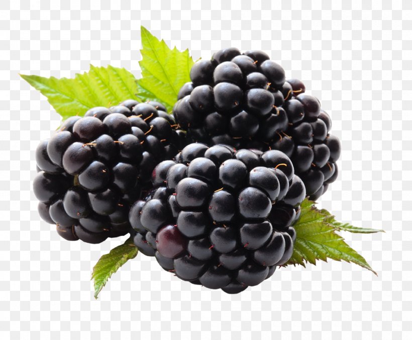 Juice Blackberry Fruit Raspberry, PNG, 1000x828px, Blackberry, Berry, Bilberry, Black Raspberry, Blackberry 10 Download Free