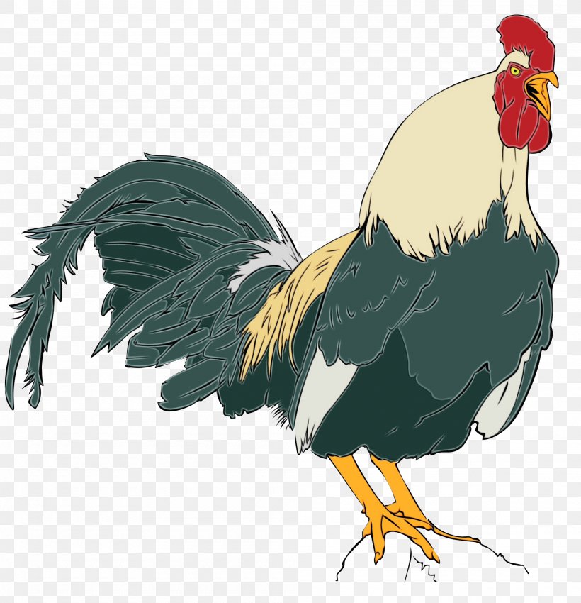 Chicken Cartoon, PNG, 2000x2075px, Rooster, Animal, Beak, Bird, Cartoon Download Free
