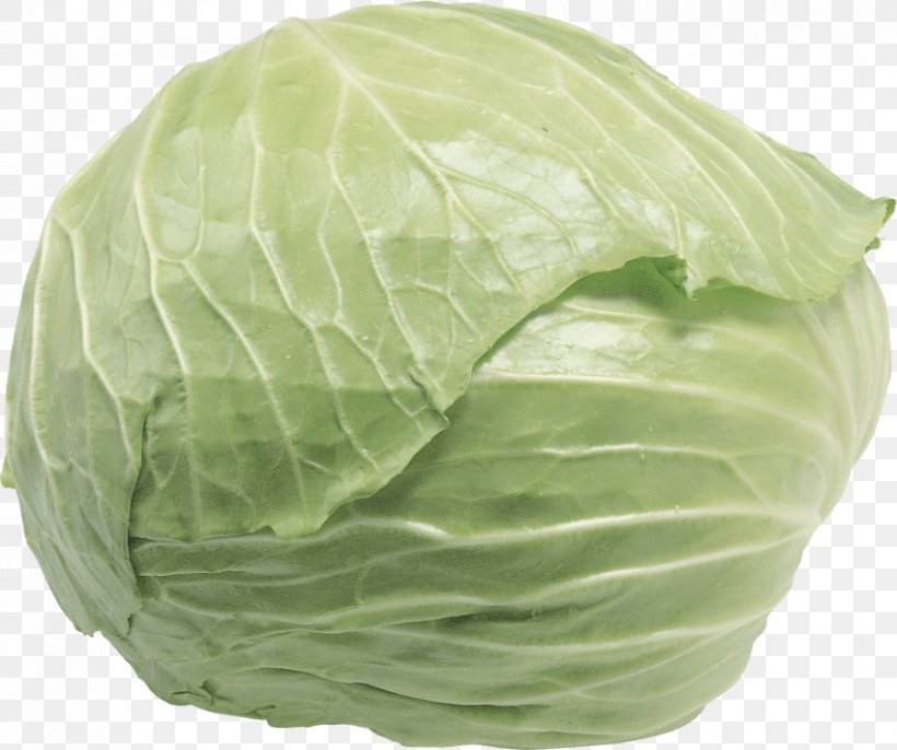 Napa Cabbage Chinese Cabbage Vegetable Food, PNG, 850x712px, Cabbage, Bok Choy, Broccoli, Cabbages, Cauliflower Download Free