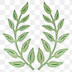 Olive Branch - Olive Branch Paper Cheery Lynn Designs PNG