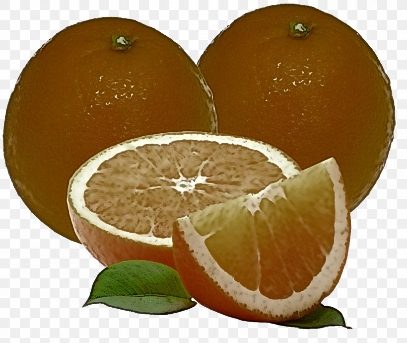 Orange, PNG, 1292x1088px, Citrus, Bitter Orange, Food, Fruit, Grapefruit Download Free