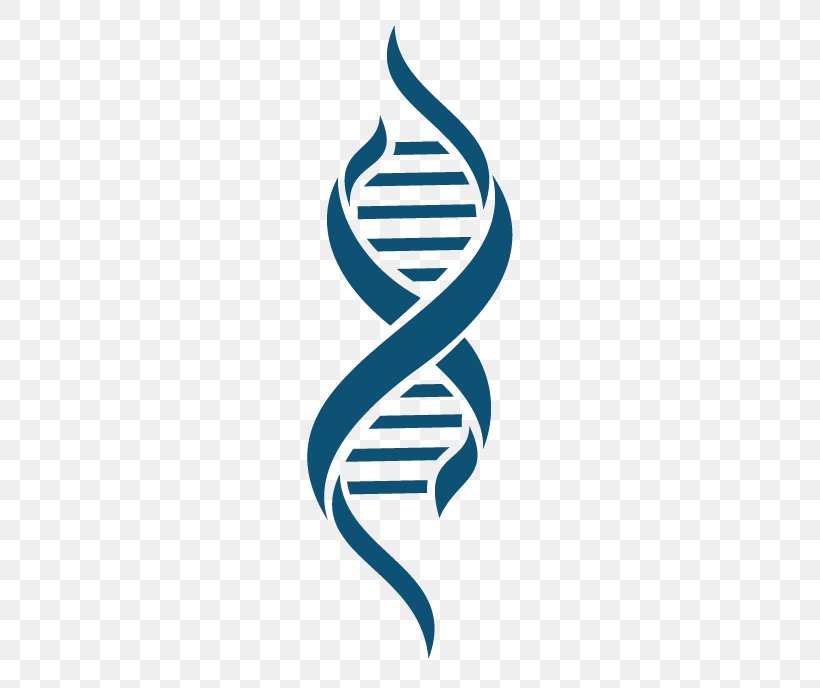Clip Art DNA Image Download, PNG, 419x688px, Dna, Biology, Brand, Gd Graphics Library, Genetics Download Free